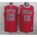 Chicago Bulls #12 Kirk Hinrich Revolution 30 Swingman 2014 New Red Jersey