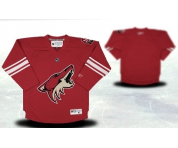 Phoenix Coyotes Youths Customized Red Jersey