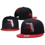 NFL Tampa Bay Buccaneers Stitched Snapback Hats 040