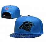 2021 NFL Carolina Panthers Hat TX602