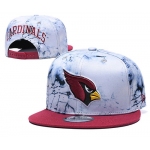 Arizona Cardinals Team Logo Smoke Red Adjustable Hat TX