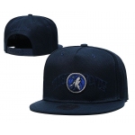 2021 NBA Minnesota Timberwolves Hat TX326