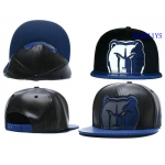 Memphis Grizzlies YS h