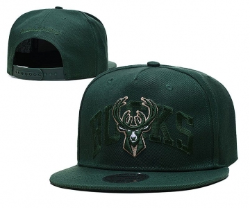 2021 NBA Milwaukee Bucks Hat TX326