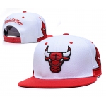 2021 NBA Chiago Bulls TXMY