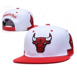 2021 NBA Chiago Bulls TXMY