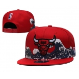 2021 NBA Chicago Bulls Hat TX 07073