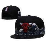 2021 NBA Chicago Bulls Hat TX 0707