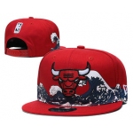 Chicago Bulls Snapback Ajustable Cap Hat YD 1