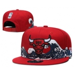 Chicago Bulls Snapback Ajustable Cap Hat YD 1