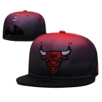 Chicago Bulls Stitched Snapback Hats 056