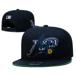 Tampa Bay Rays Stitched Baseball Snapback Hats 001