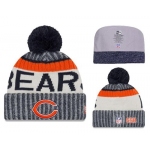 NFL Chicago Bears Logo Stitched Knit Beanies 007