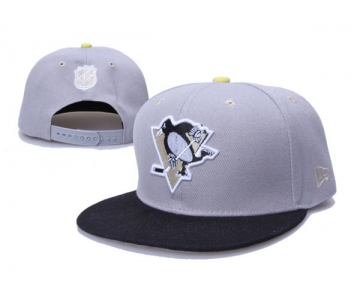 Pittsburgh Penguins 17