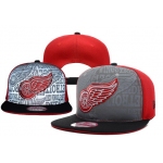 Detroit Red Wings Snapbacks YD002