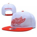 Detroit Red Wings Snapbacks YD005