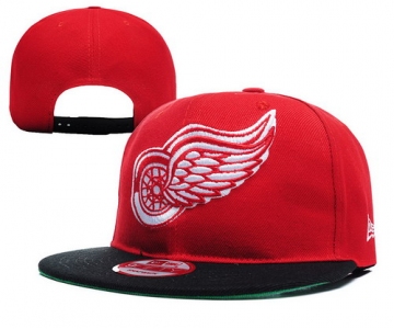 Detroit Red Wings Snapbacks YD012