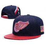 NHL Detroit Red Wings hats 2