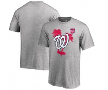 Washington Nationals Fanatics Branded 2018 MLB Spring Training Vintage T Shirt Heather Gray