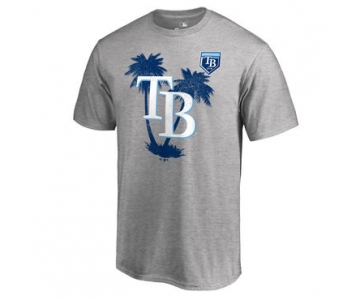 Tampa Bay Rays Fanatics Branded 2018 MLB Spring Training Vintage T Shirt Heather Gray