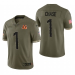 Men's Womens Youth Kids Cincinnati Bengals #1 Ja'Marr Chase Olive 2023 Salute To Service Limited Nike Jersey