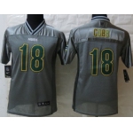 Nike Green Bay Packers #18 Randall Cobb 2013 Gray Vapor Kids Jersey