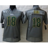 Nike Green Bay Packers #18 Randall Cobb 2013 Gray Vapor Kids Jersey