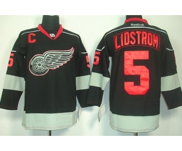 Detroit Red Wings #5 Nicklas Lidstrom Black Ice Jersey