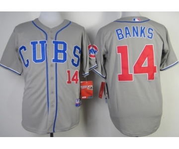 Chicago Cubs #14 Ernie Banks 2014 Gray Jersey