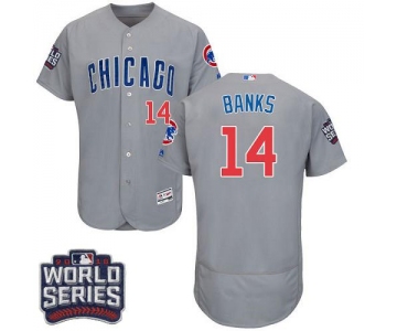 Cubs #14 Ernie Banks Grey Flexbase Authentic Collection Road 2016 World Series Bound Stitched MLB Jersey