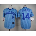 Men's Chicago Cubs #14 Ernie Banks 1988 Light Blue Majestic Jersey