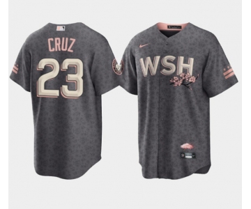 Men's Washington Nationals #23 Nelson Cruz 2022 Grey City Connect Cherry Blossom Cool Base Stitched Jersey